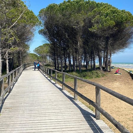Cozy Villa 250 Metres From The Beach - Beahost - 비비오네 외부 사진